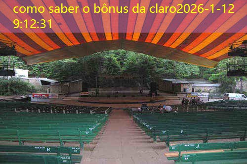 como saber o bônus da claro